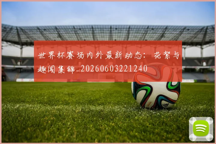 世界杯赛场内外最新动态：花絮与趣闻集锦_20260603221240