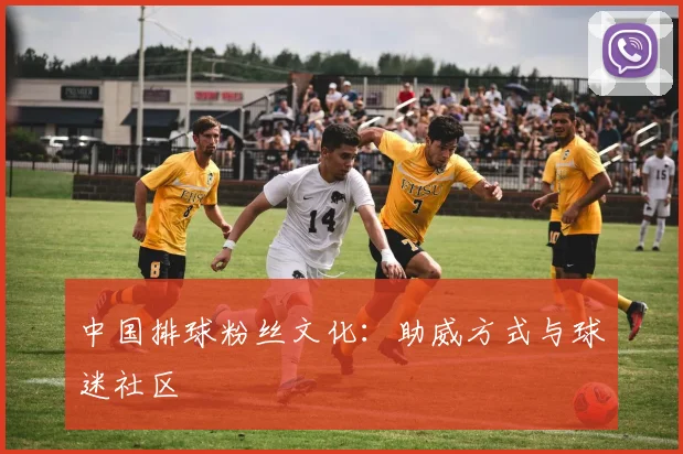 中国排球粉丝文化：助威方式与球迷社区