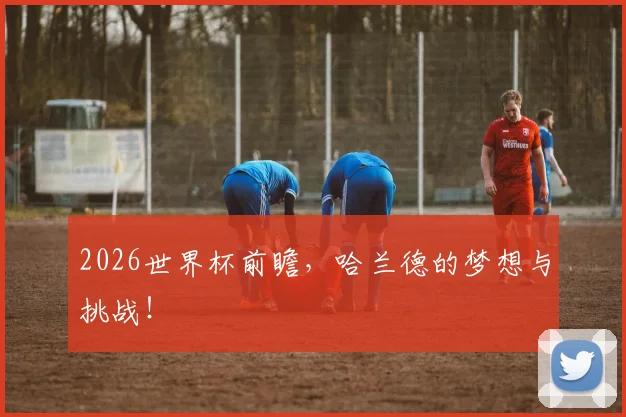 2026世界杯前瞻，哈兰德的梦想与挑战！