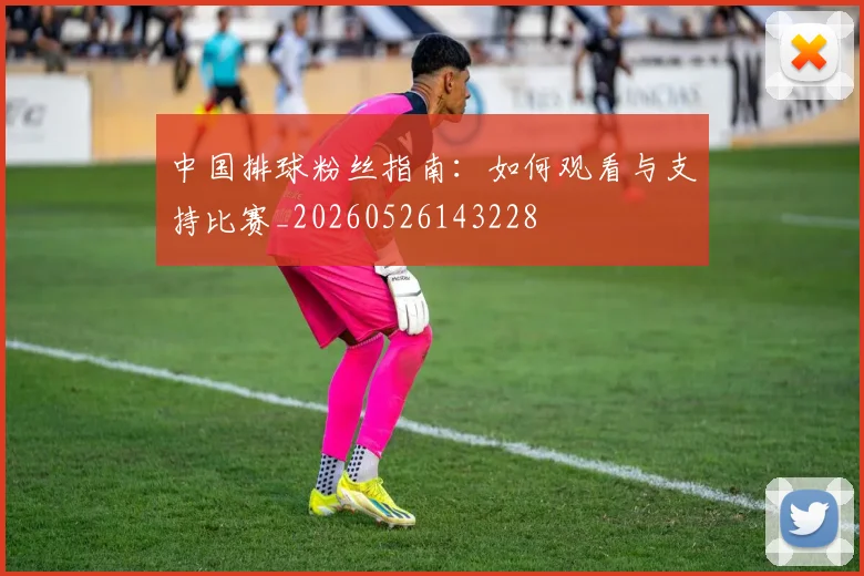 中国排球粉丝指南：如何观看与支持比赛_20260526143228