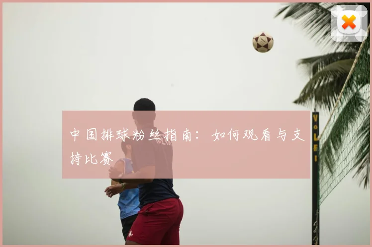 中国排球粉丝指南：如何观看与支持比赛