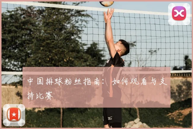 中国排球粉丝指南：如何观看与支持比赛